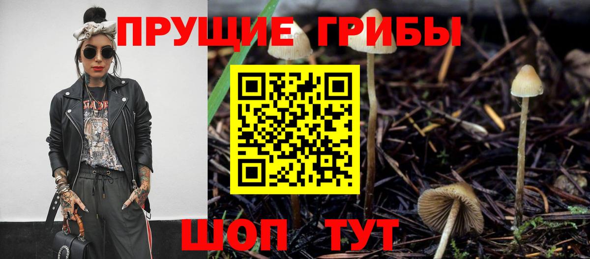 Луга  Псилоцибиновые грибы Magic Shrooms  Вход с VPN 